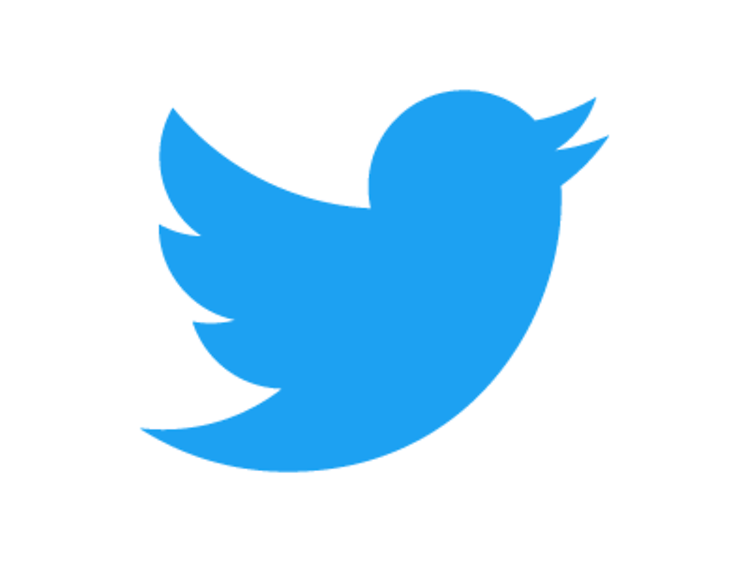  ein blauer Vogel als Twitterlogo