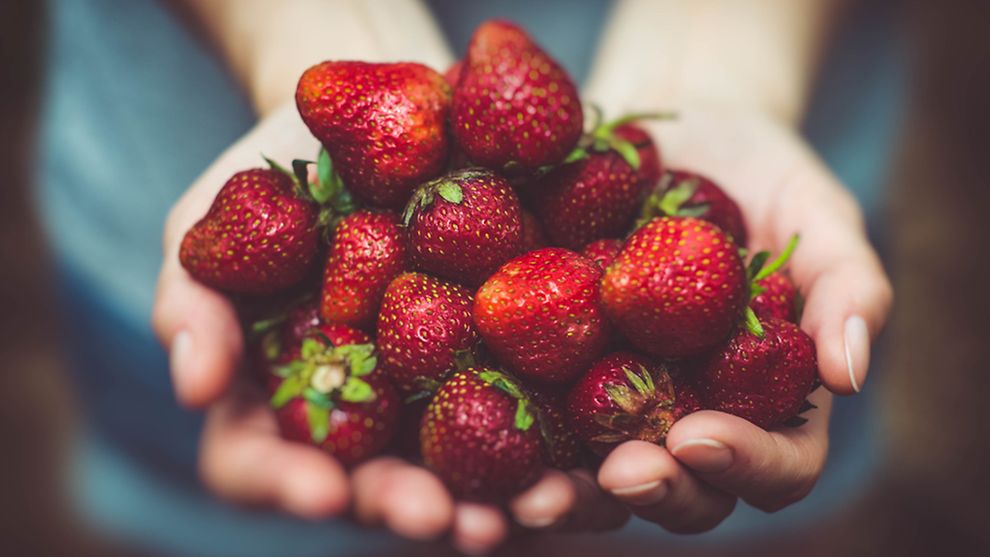  Zwei Hände halten einen Haufen Erdbeeren