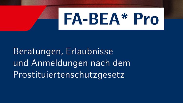  Titelseite des Faltblattes "F-BEA* Pro"