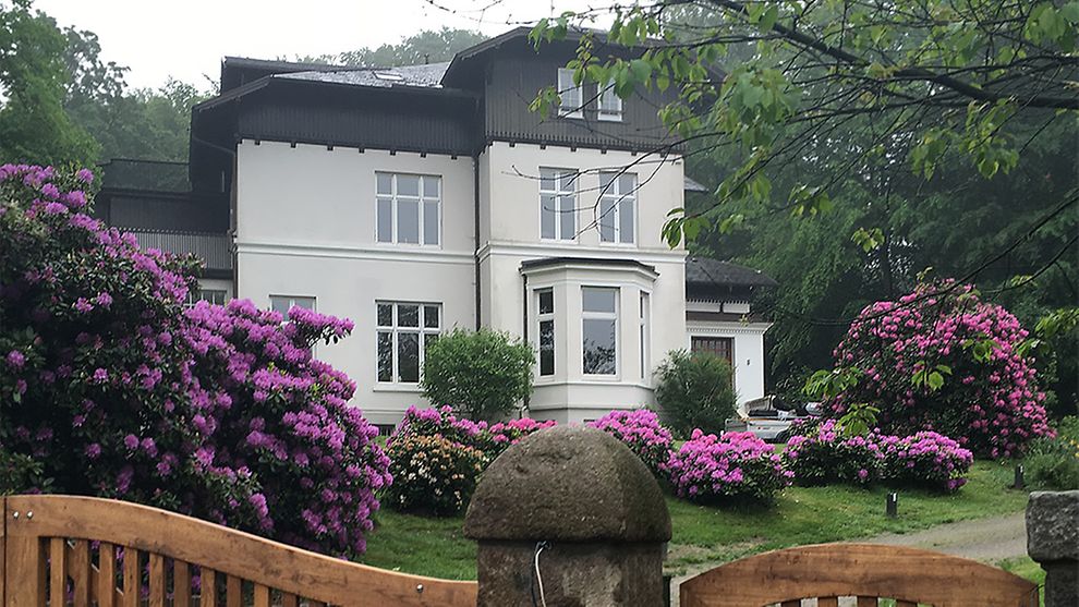 Weiße Villa mit Holzverkleidung, im Vordergrund lila Rhododendren