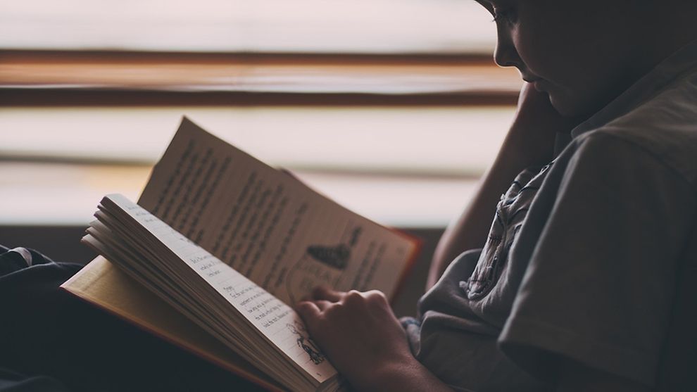 Ein Junge liest in einem Buch.