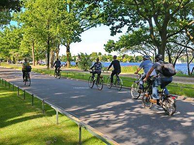  Sechs Fahrradfahrer auf dem Radweg Havesterhuder Weg an der Alster
