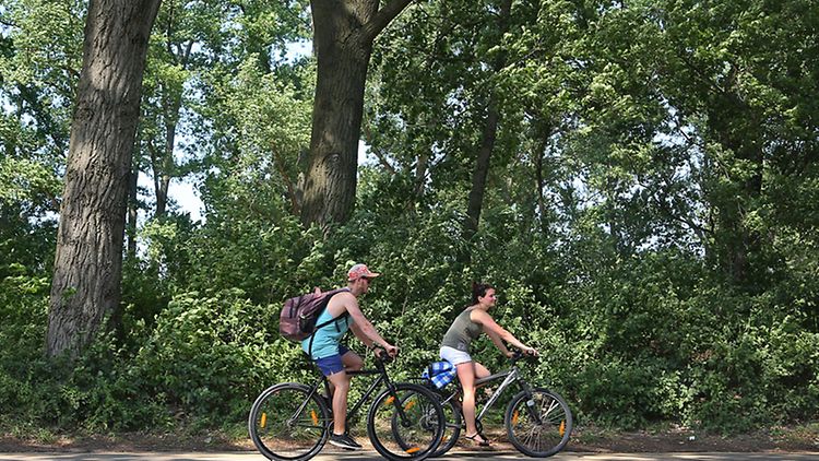  Ein Mann und eine Frau fahren auf Fahrrädern durch das Bild. Hinter ihnen ist Wald.