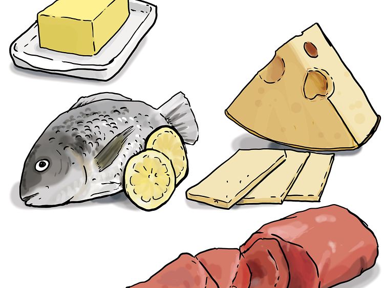  Verschiedene Lebensmittel wie Käse, Butter, Fisch und Fleisch