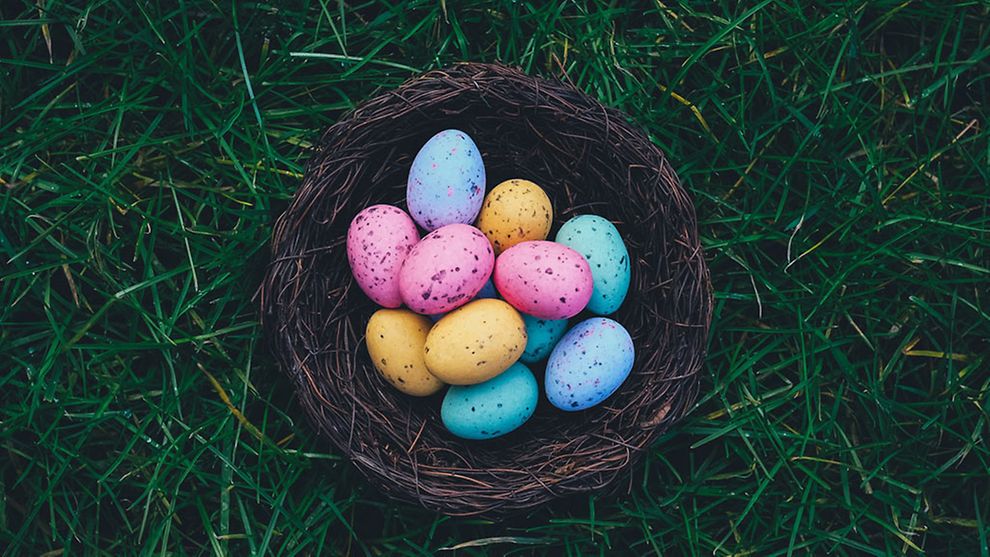 Ein Nest mit bunt gefärbten Eiern steht auf Rasen.