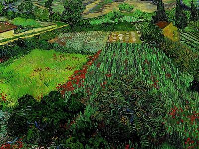  Grüne Felder mit roten Mohnblumen in Öl gemalt