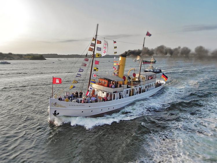  Dampfschiff Schaarhörn in Fahrt auf der Elbe