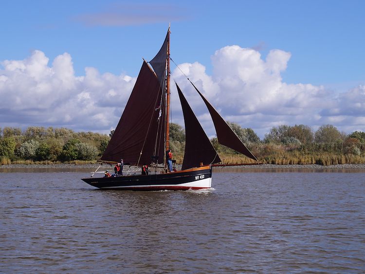  Elbfischkutter Greta fährt mit gesetzten Segeln auf der Elbe.
