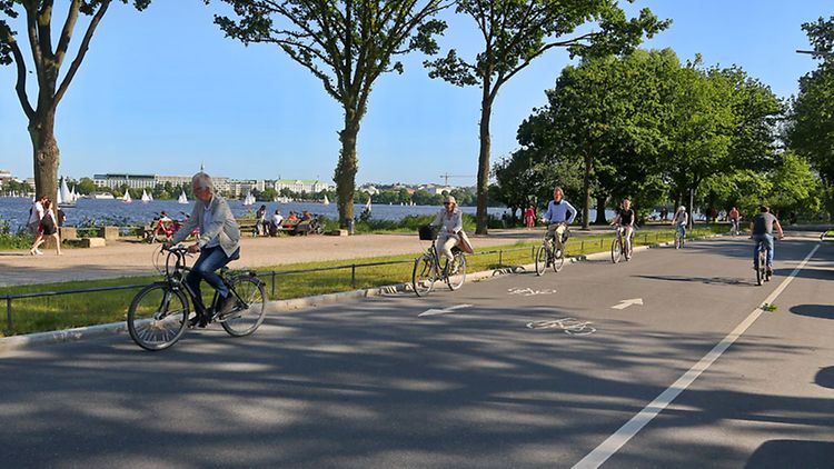  7 Fahrradfahrer auf der Fahrradstraße am Alsterufer