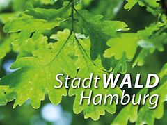  Stadtwald hamburg