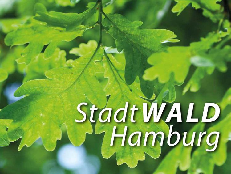  Stadtwald hamburg