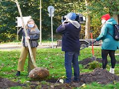  Ein Baumsetzling wird von einer Frau eingepflanzt. Daneben steht ein Kamerateam.