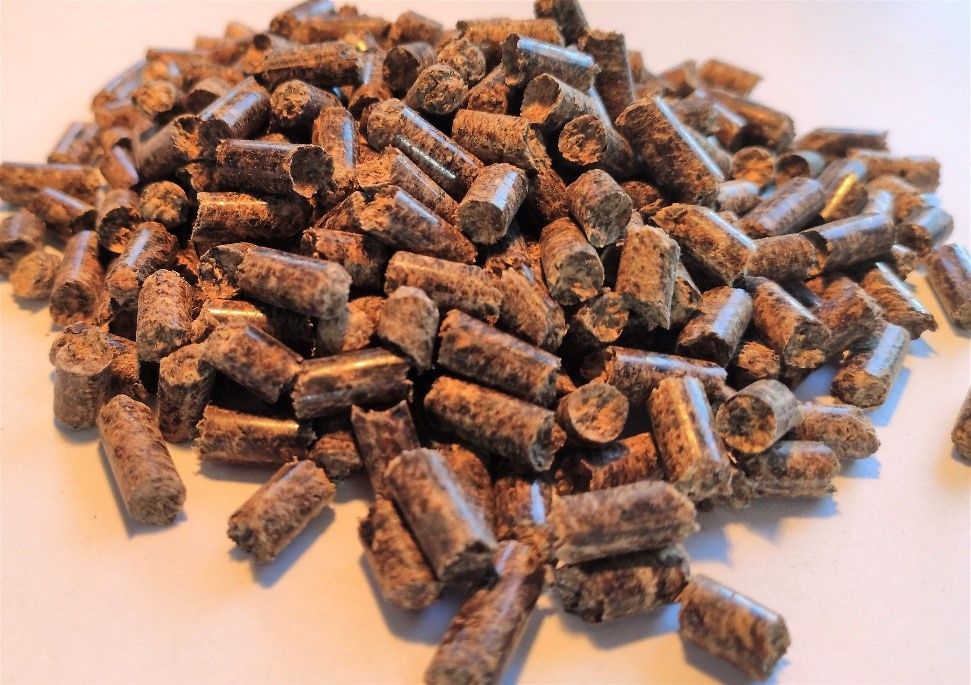 Wood pellets made of black thorn