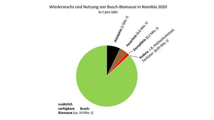 Busch-Biomasse
