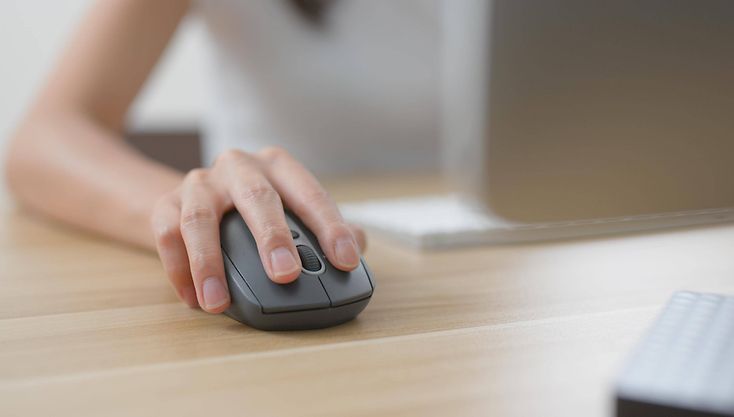 Person sitzt vor dem Bildschirm und bedient eine Computer-Maus.