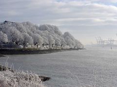  Bäume auf deren Ästen Schnee liegt stehen am Ufer der Elbe in Teufelsbrück. Im Hintergrund sind Kräne des Hafens zu sehen. 