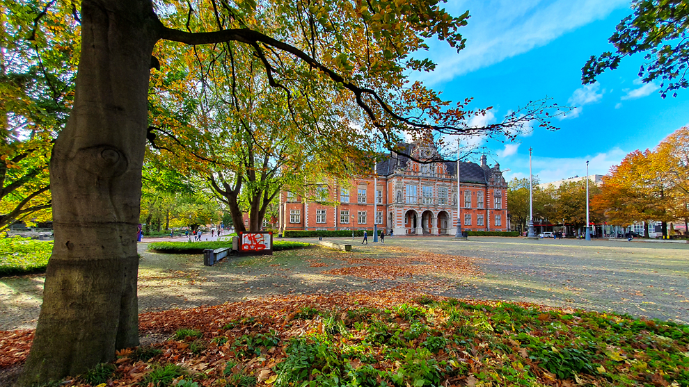  Das Harburger Rathaus im Herbst