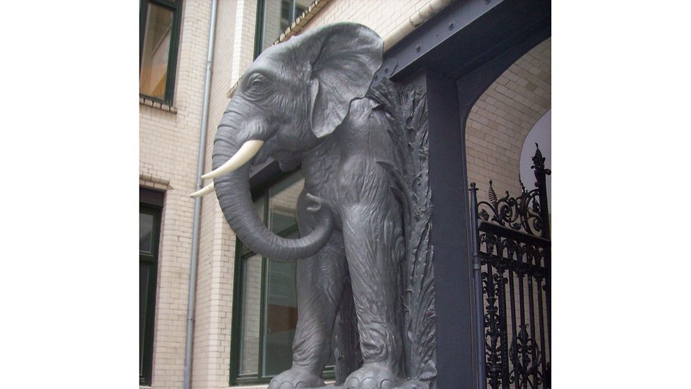 Elefant am Afrikahaus in der Großen Reichenstraße in Hamburg