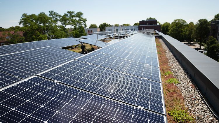  Ein Bild mit Solarmodulen auf einem Gründach.