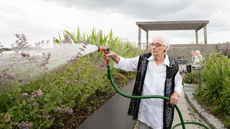  Seniorin gießt die Pflanzen in einem Garten auf dem Dach.