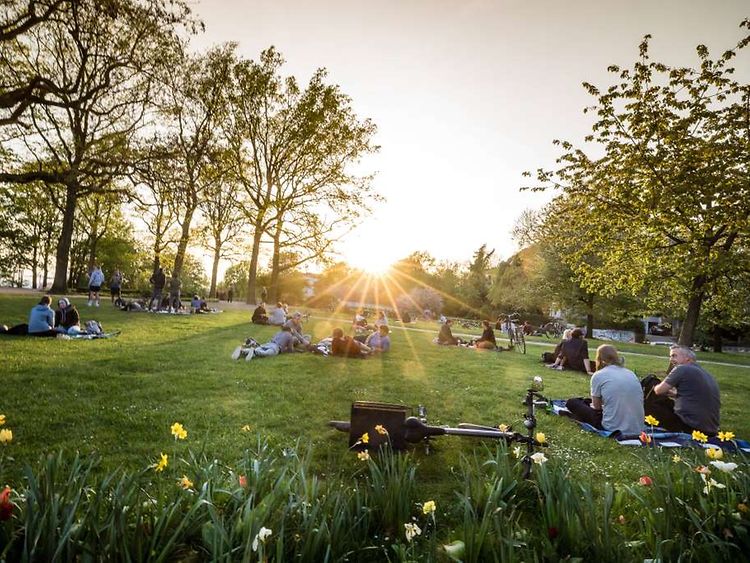  Menschen liegen auf einer grünen Wiese. Die Sonne scheint. Es sind Blumen im Vordergrund des Bildes zu sehen.