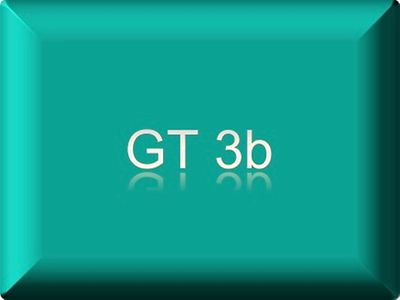  GT3b