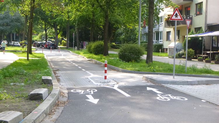  Aufnahme einer Fahrradstraße, welche von Bäumen umrandet ist.