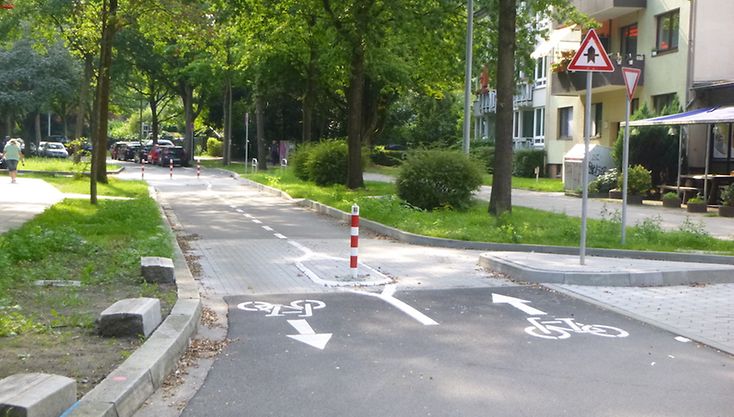 Aufnahme einer Fahrradstraße, welche von Bäumen umrandet ist.