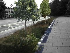  Beispielvisualisierung-Blue-Green-Street-Königstraße