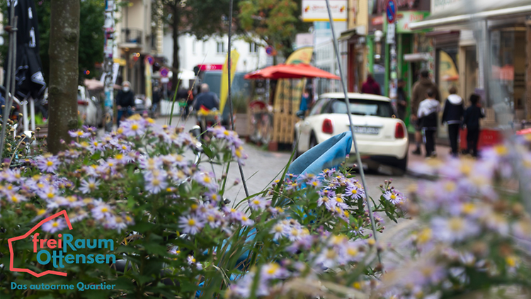  Das Bild zeigt eine Fußgängerzone. Im Vordergrund sind Blumen zu sehen, die im Fokus stehen. Dahinter findet sich eine Fußgängerzone, in der einige Personen entlang gehen und ein Fahrradfahrer fährt. 