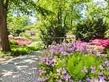  Britzer Garten | Rhododendrongarten