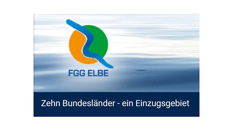  FGG Elbe Logo