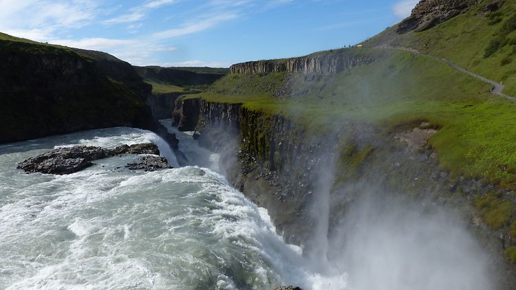  Island - Eine botanische Sommerreise | Gullfoss