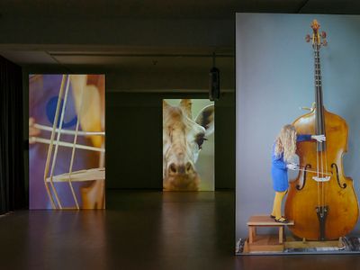  Drei Fotografien. Eine Fotografie zeigt ein Mädchen, welches Kontrabass spielt. Ein weiteres Bild zeigt das Streichen eines Instrumentes in Nahaufnahme. Ein Bild zeigt die Nahaufnahme einer Giraffe.