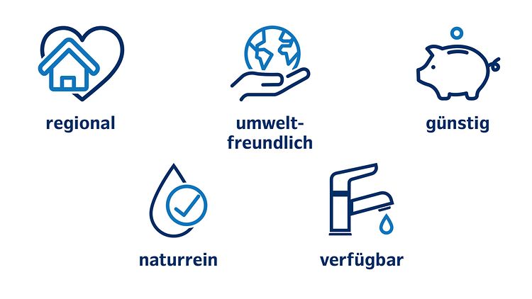 Fünf Symbole mit Unterschriften für die 5 Gründe. Die Symbole symbolisieren die Wörter regional, umweltfreundlich, günstig, Qualität und verfügbar.