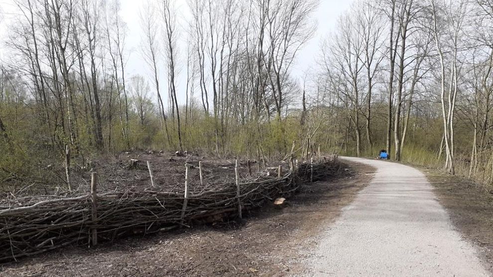 Wegeverbindung zwischen Am Luisenhof und Berberweg - Baumpflegemaßnahmen und neu gepflasterte Wege