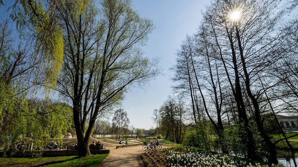 Ein Park im Frühling.