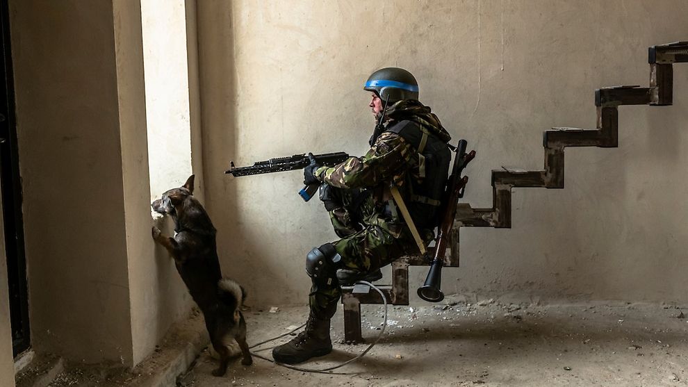  Soldat mit Waffe sitzt auf einer Treppe und guckt durch ein Fenster. Vor seinen Füßen ein Hund, der ebenfalls aus dem Fenster schaut.