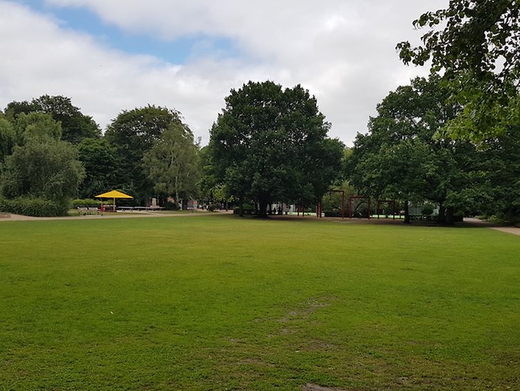  Eine satte Grünfläche in einem Park