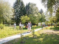  Zaun mit Pflanztöpfen zwischen dem Gemeinschaftsgarten und der neuen Parkanlage
