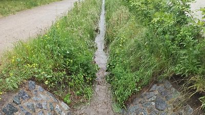  Foto eines schmalen Entwässerungsgrabens mit viel seitlichem Grünbewuchs