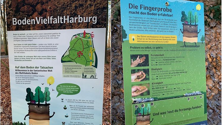  Zwei Tafel, die im Wald aufgestellt wurden. Auf den Karten steht die Überschrift "BodenVielfaltHarburg" und es sind einige Wald-Illustrationen und nicht lesbarer Text zu sehen.