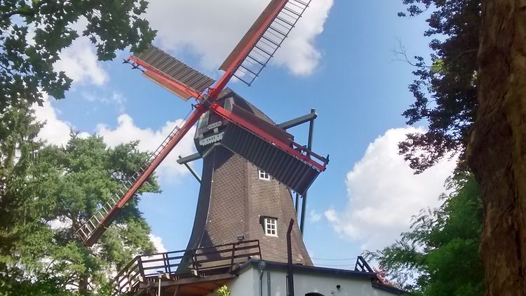  Blick auf die Bergedorfer Mühle
