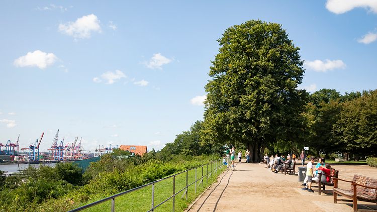  Ein beliebter Treffpunkt hoch über der Elbe sind die Bänke auf dem Altonaer Balkon.