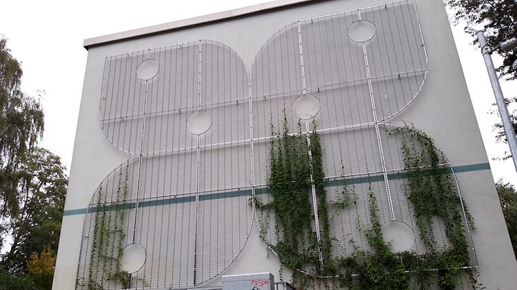  Eine graue Hauswand, an der ein Gitter in Schmetterlingsform angebracht ist. An diesem Gitter wachsen grüne Pflanzen.