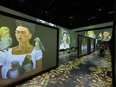  Ausstellung Frida Kahlo