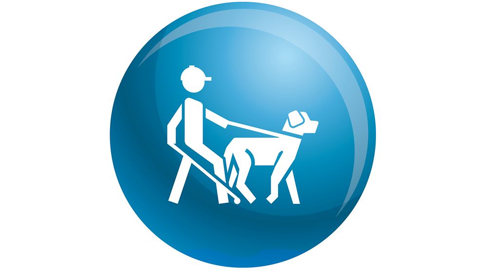 Piktogramm: Blinder Mensch mit Blindenhund