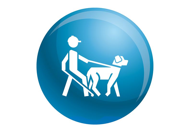  Piktogramm: Blinder Mensch mit Blindenhund