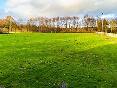  Aufnahme eines Fußballplatzes mit Naturrasen.