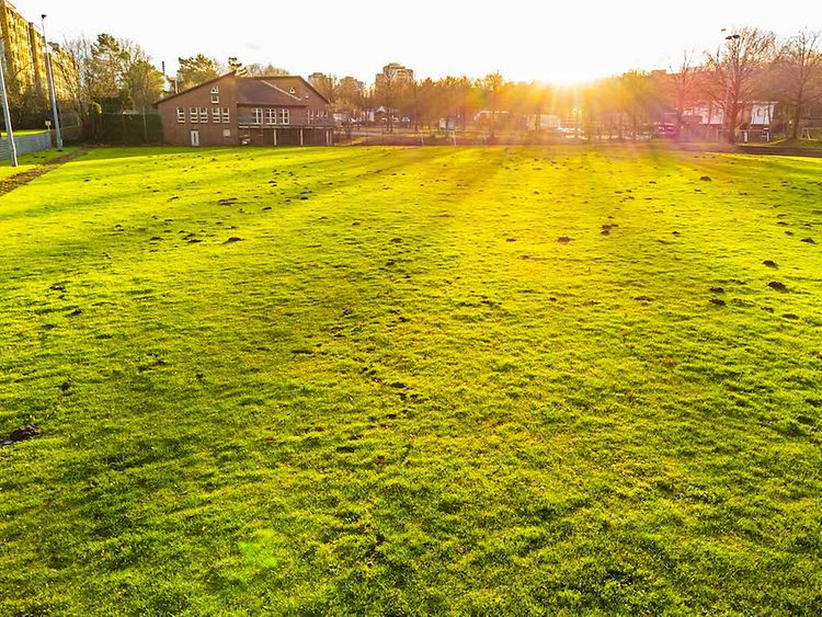  Aufnahme eines Fußballplatzes mit Naturrasen.